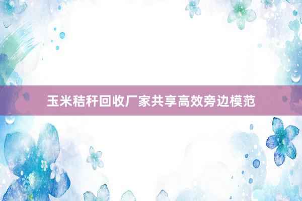 玉米秸秆回收厂家共享高效旁边模范