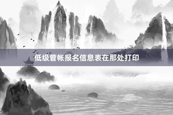 低级管帐报名信息表在那处打印